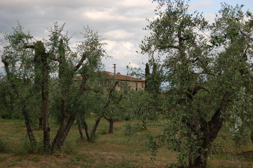 Podere Scaluccia Impruneta Buitenkant foto
