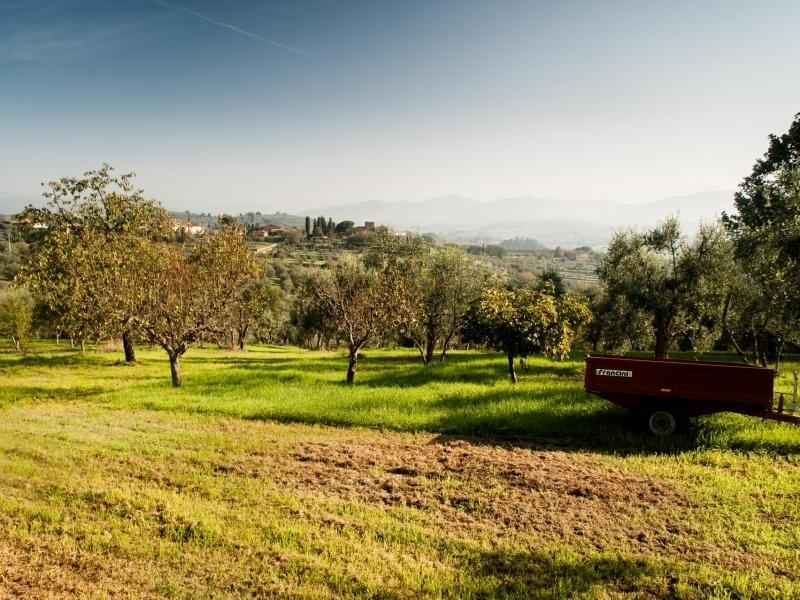 Podere Scaluccia Impruneta Buitenkant foto